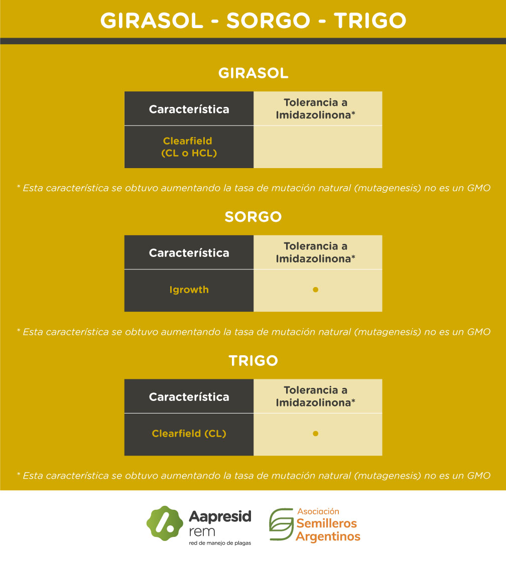 Tabla3