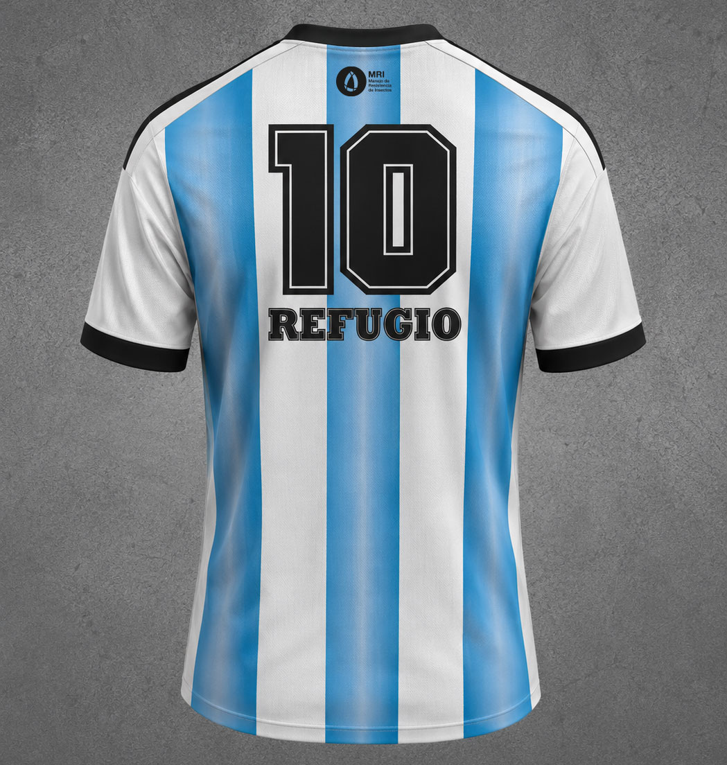 Camiseta Arg dorso