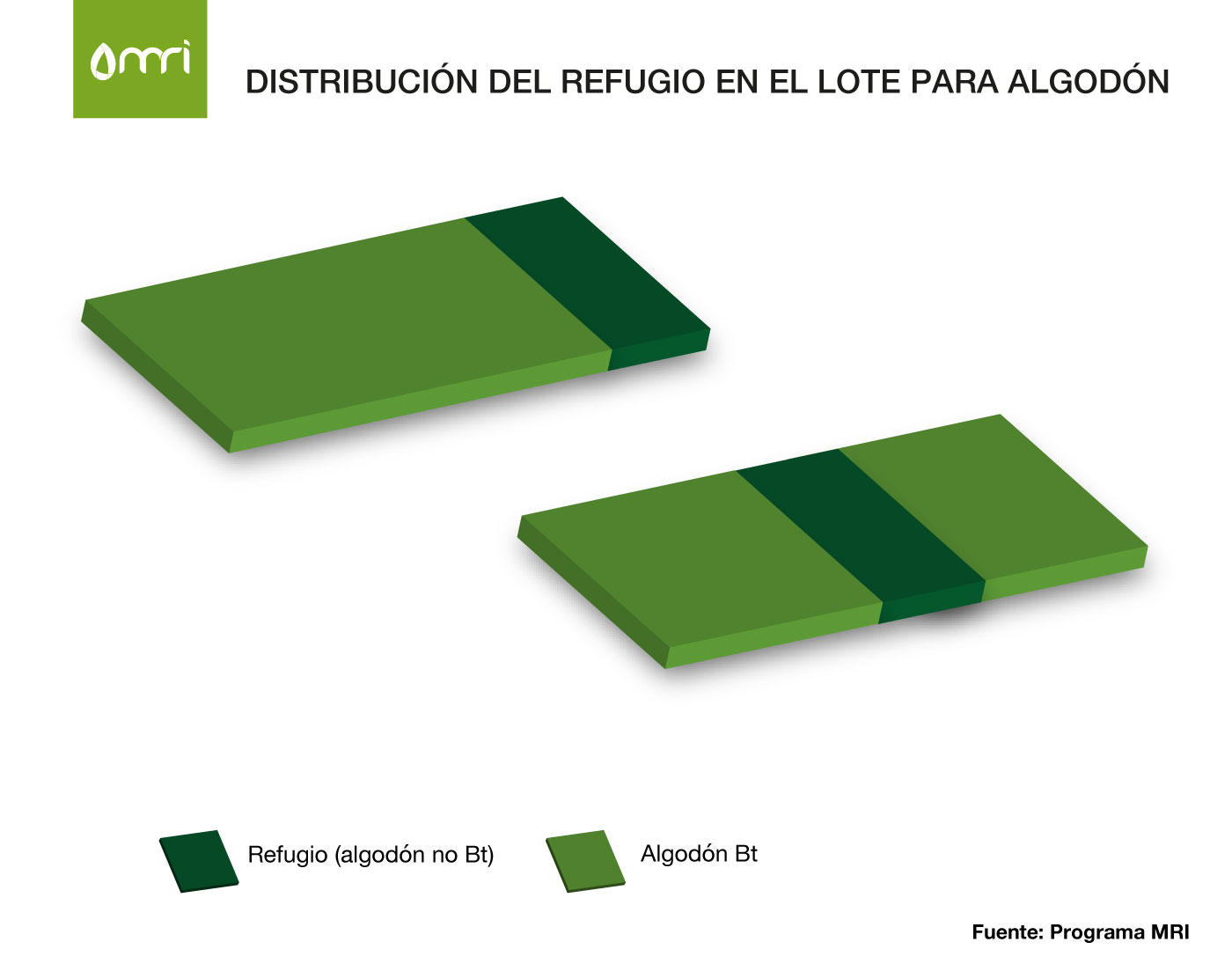 Refugio maiz g