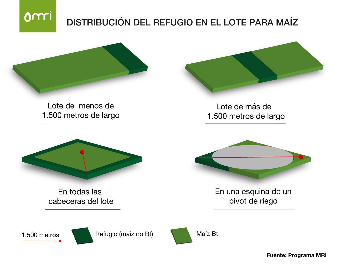 Refugio maiz g