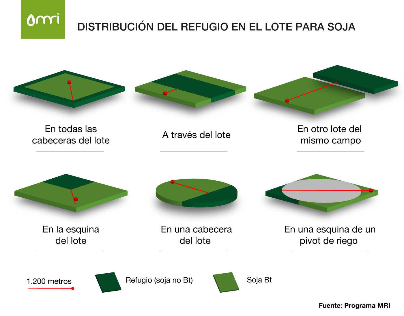 Refugio maiz g
